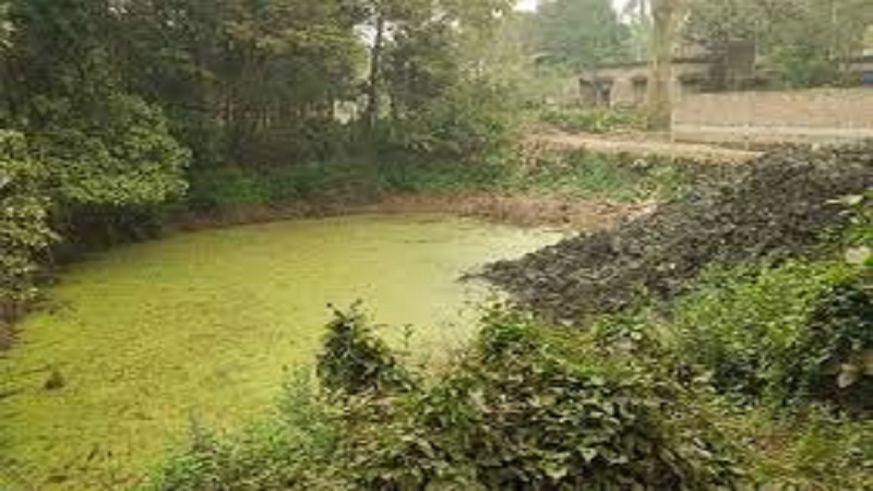 'নীরব পুকুরের রহস্য-শেষ পর্ব'